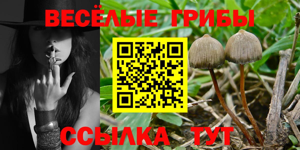 Псилоцибиновые грибы Cubensis  Вход с VPN  Псилоцибиновые грибы мухоморы  Волоколамск 