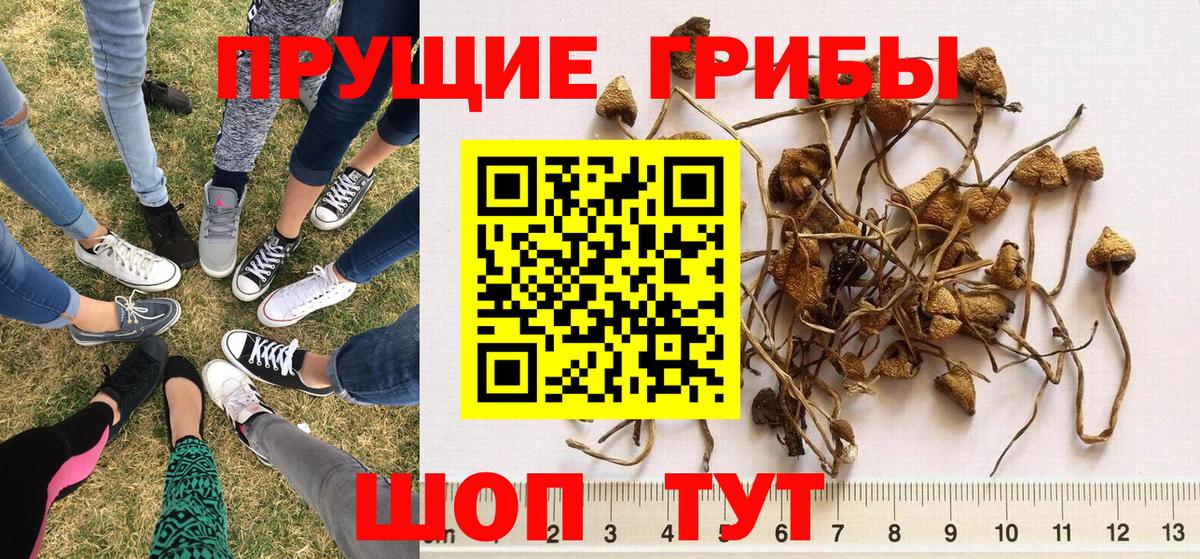 Галлюциногенные грибы ЛСД Волоколамск